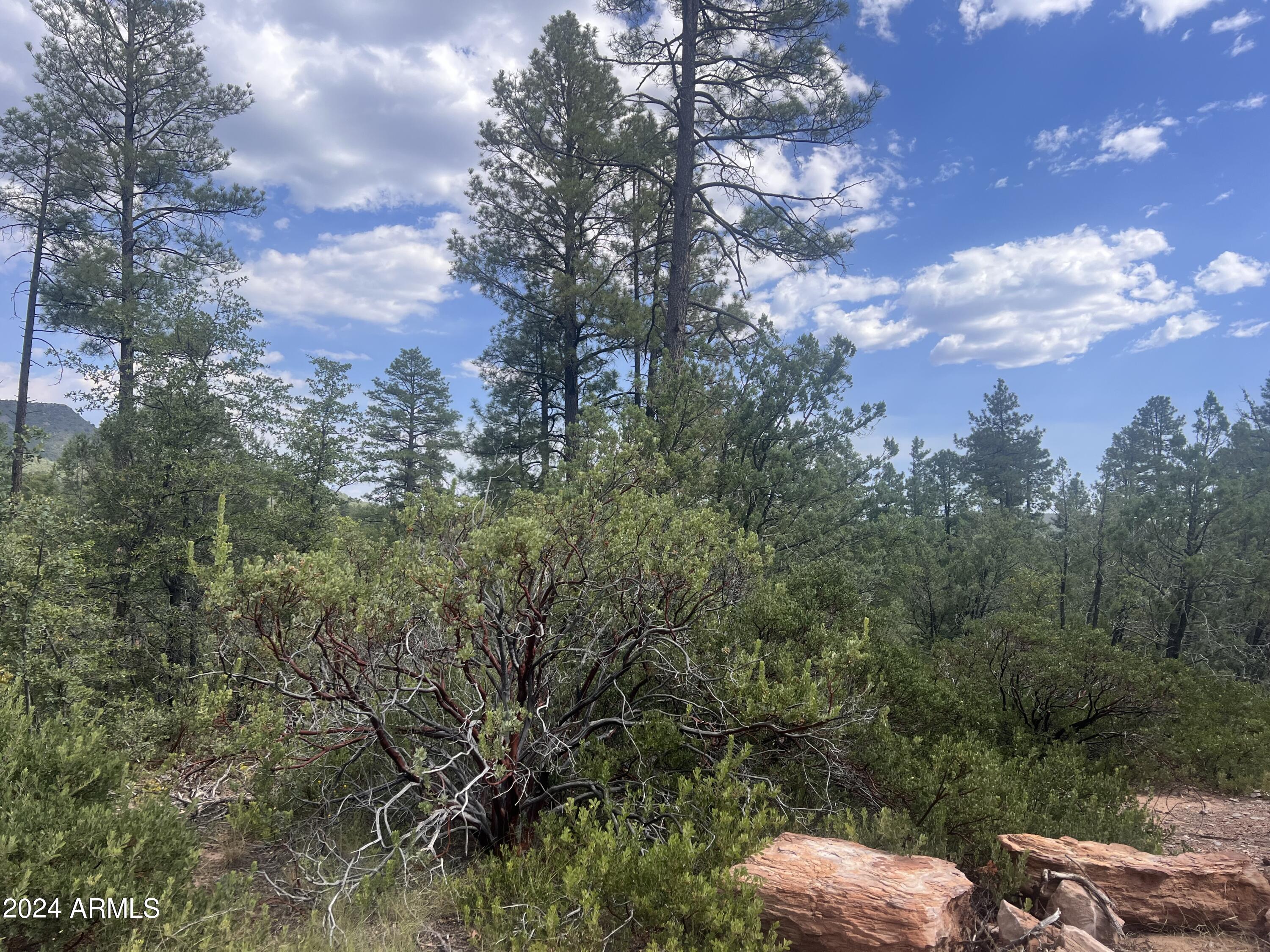 0000 N Mistletoe Lot Q Q, Pine, AZ 85544 — Photo 1 of 7