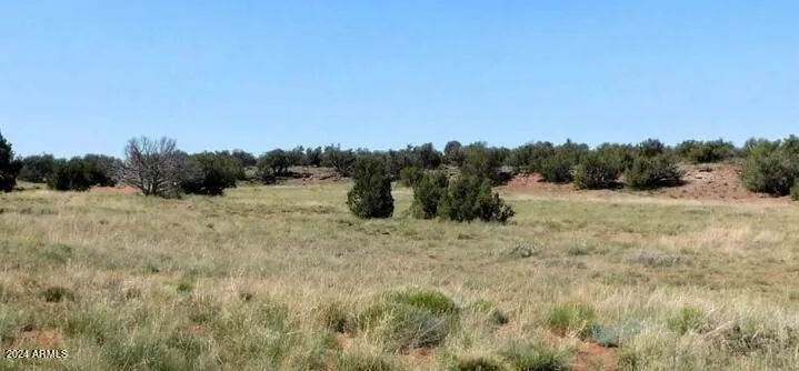 tbd 201-35-008B -, Concho, AZ 85924 — Photo 1 of 6
