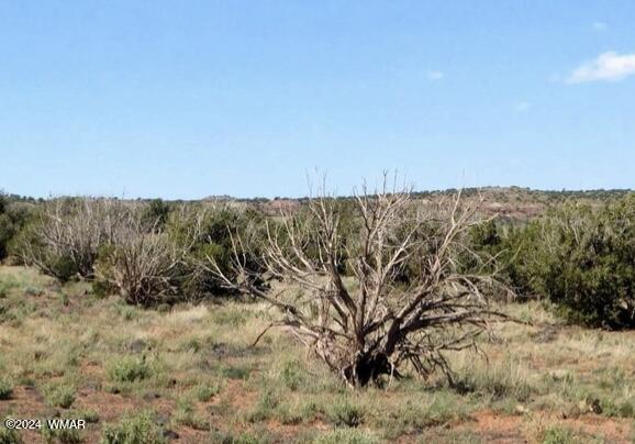 tbd 201-35-008B, Concho, AZ 85924 — Photo 1 of 6