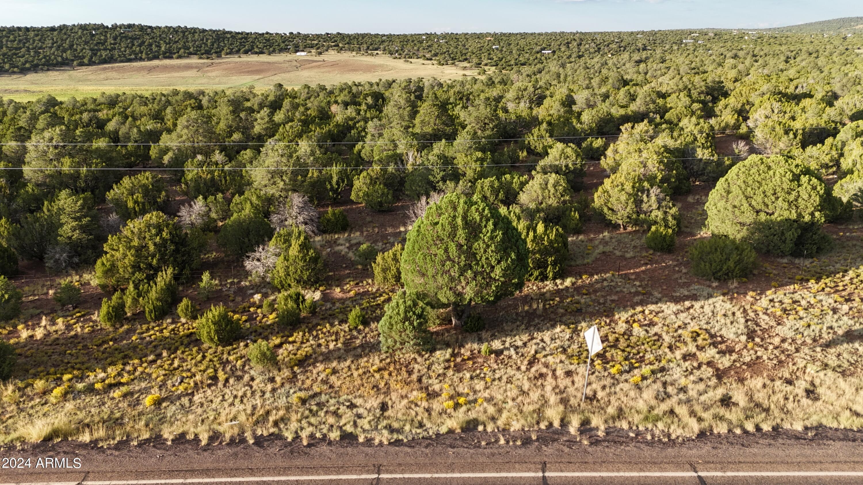 35555 US HIGHWAY 60 003, Show Low, AZ 85901 — Photo 1 of 3