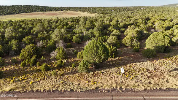 35555 US HIGHWAY 60 003, Show Low, AZ 85901