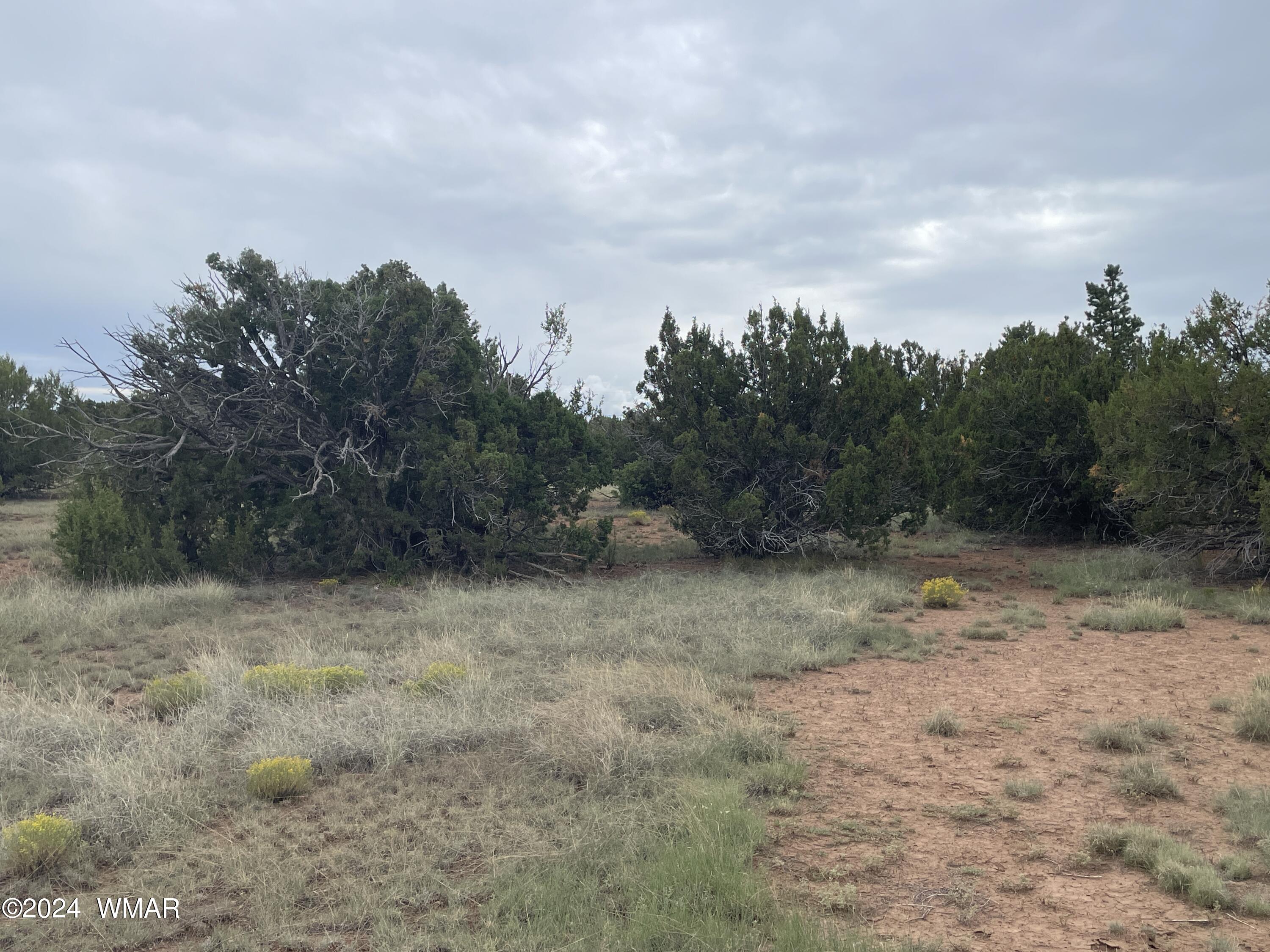 236 Colorado Avenue, Concho, AZ 85924 — Photo 1 of 15