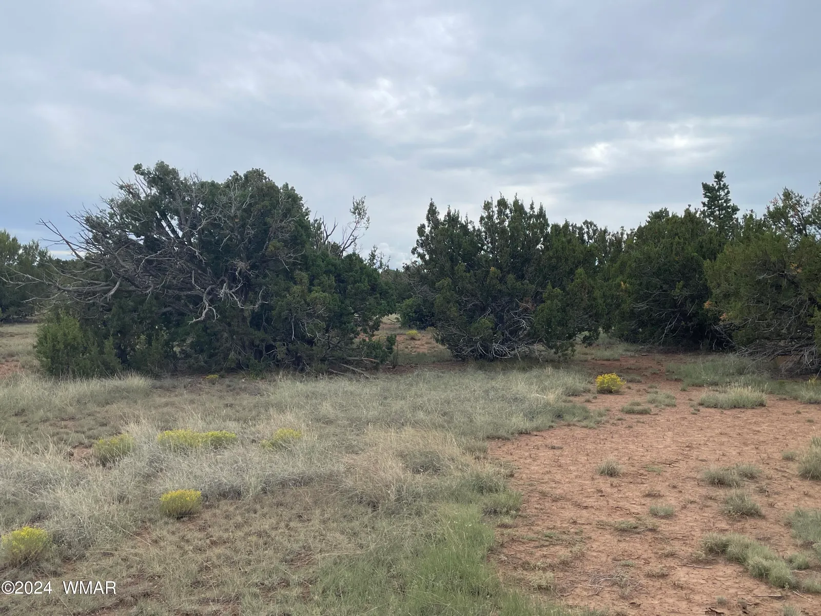 236 Colorado Avenue, Concho, AZ 85924 — Photo 1 of 15