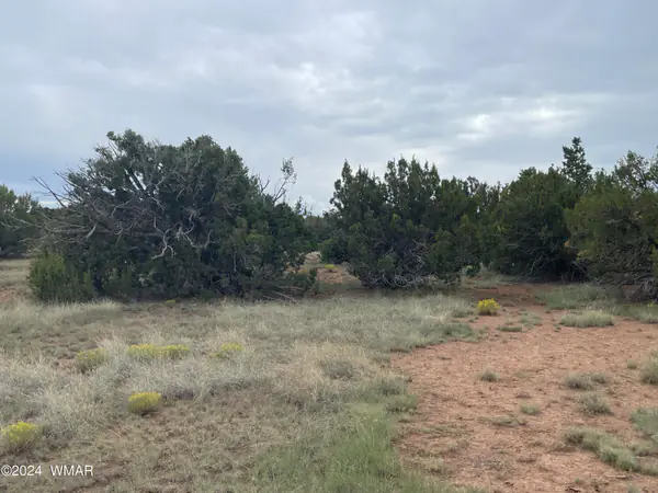 236 Colorado Avenue, Concho, AZ 85924