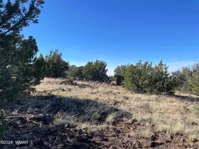 12 County Road, 8232, Concho, AZ 85924
