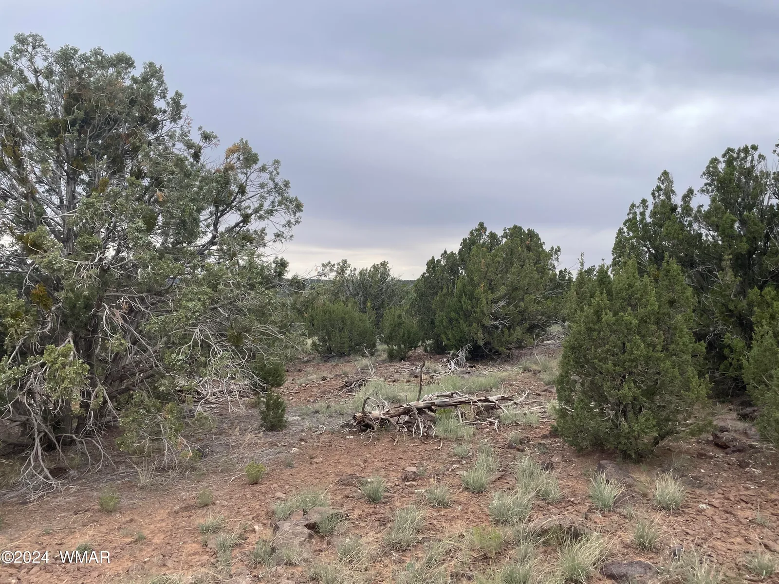 1 CR 8117, Concho, AZ 85924 — Photo 1 of 17