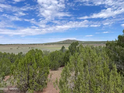 77 Navajo Drive, Concho, AZ 85924