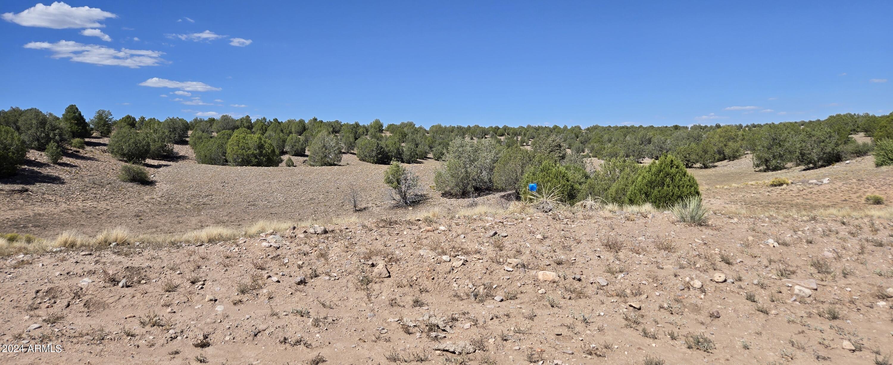 59C W PASTURE Lane 59, Prescott, AZ 86305 — Photo 1 of 43