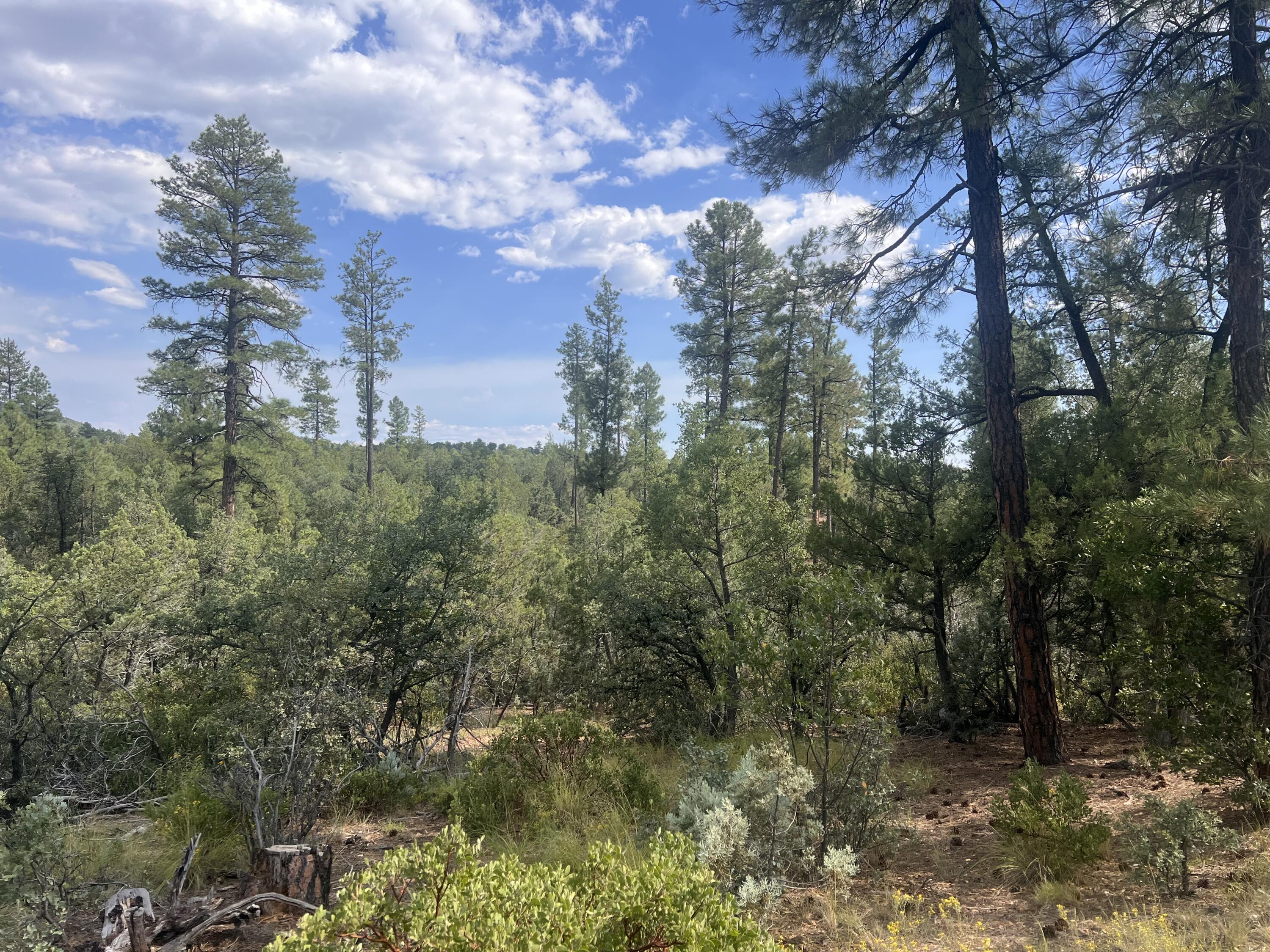 0000 N Mistletoe Lot Q, Pine, AZ 85544