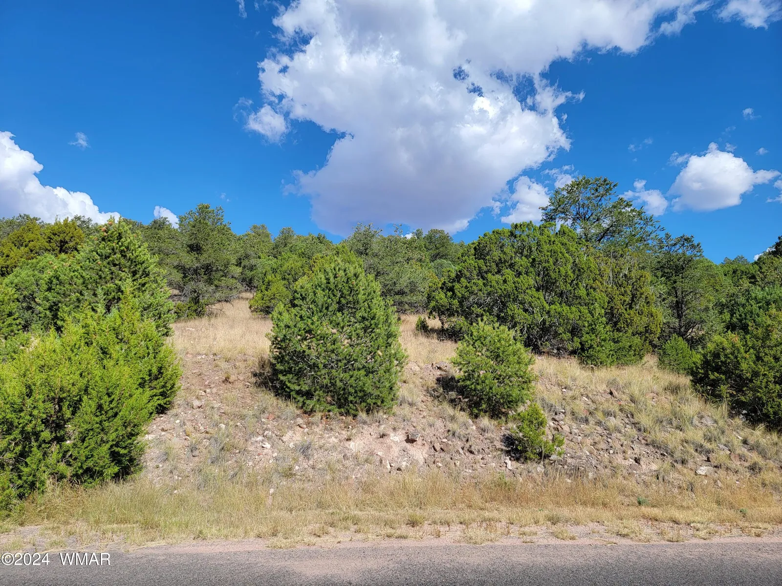 Lot 11 S Spruce Street, Eagar, AZ 85925 — Photo 1 of 6