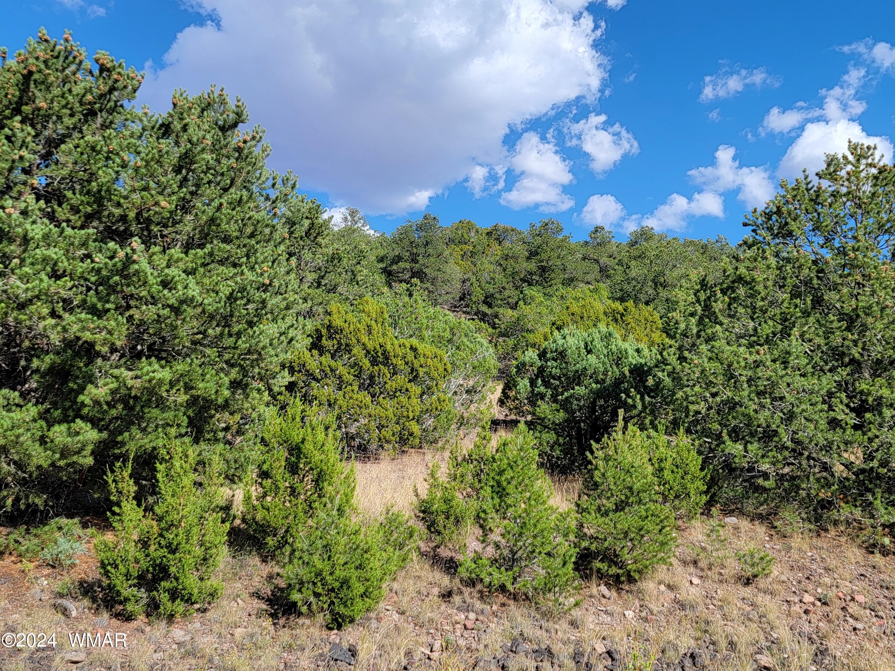 Lot 10 S Spruce Street, Eagar, AZ 85925