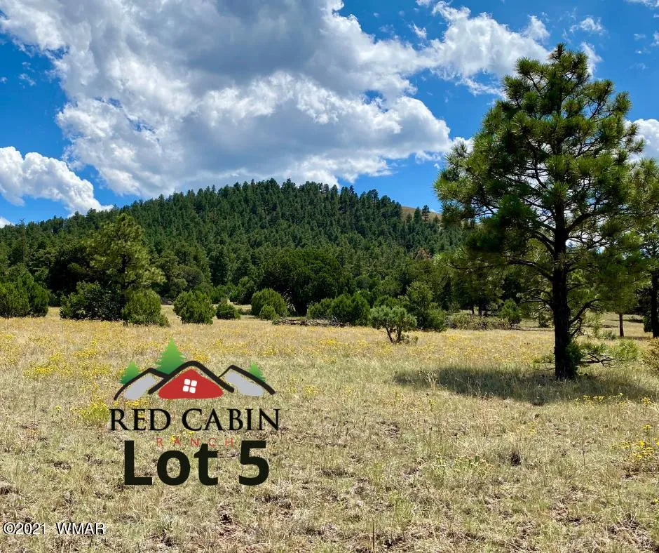 Lot 5 Red Cabin Ranch, Vernon, AZ 85940 — Photo 1 of 22