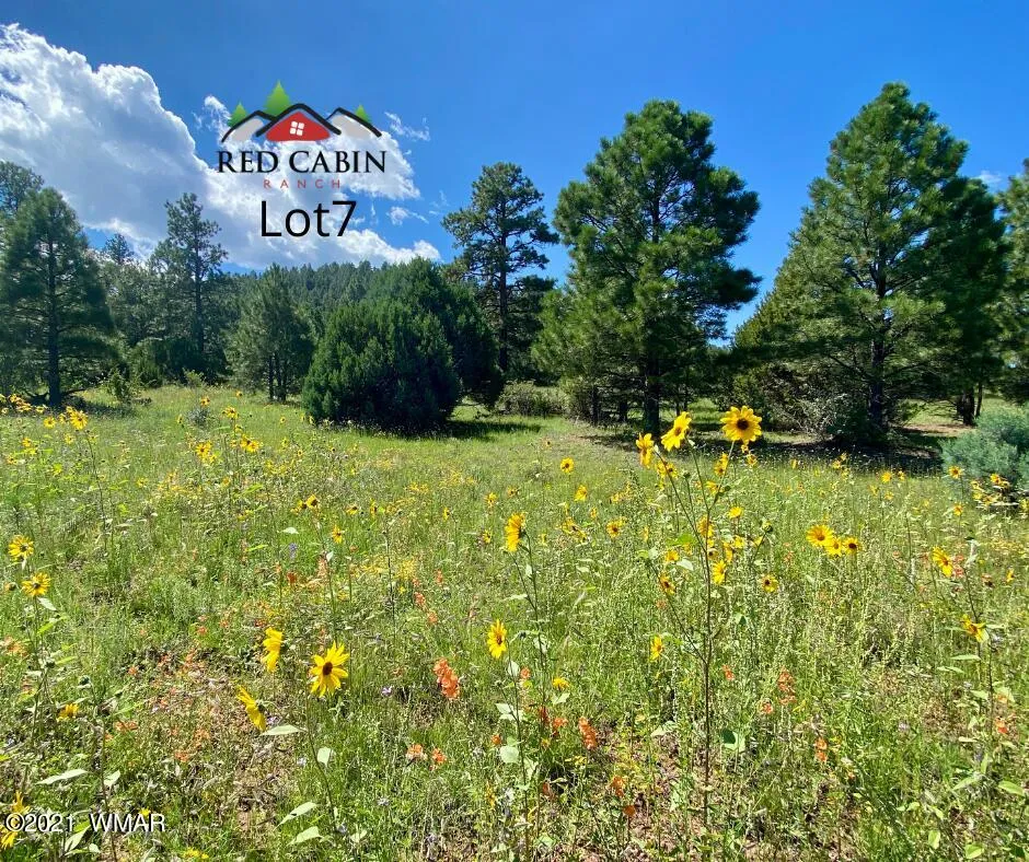 Lot 7 Red Cabin Ranch, Vernon, AZ 85940 — Photo 1 of 21