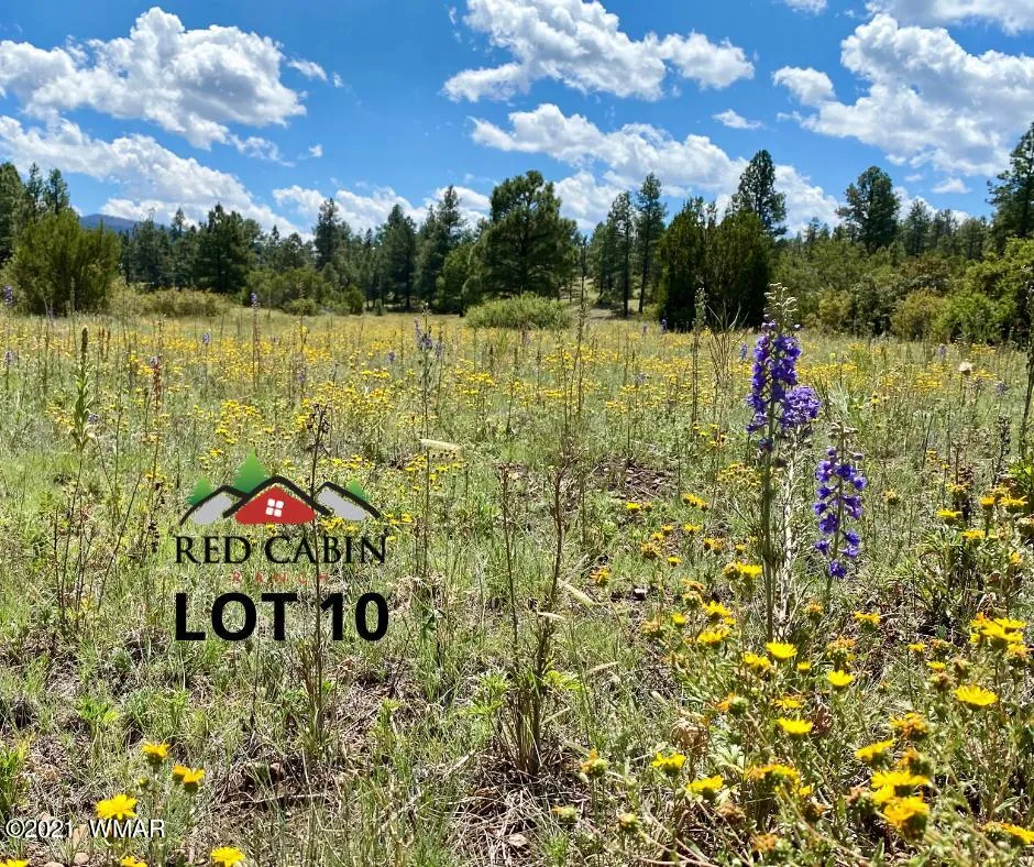 Lot 10 Red Cabin Ranch, Vernon, AZ 85940 — Photo 1 of 20