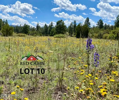 Lot 10 Red Cabin Ranch, Vernon, AZ 85940