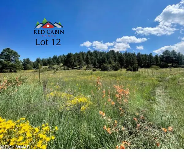 Lot 12 Red Cabin Ranch, Vernon, AZ 85940