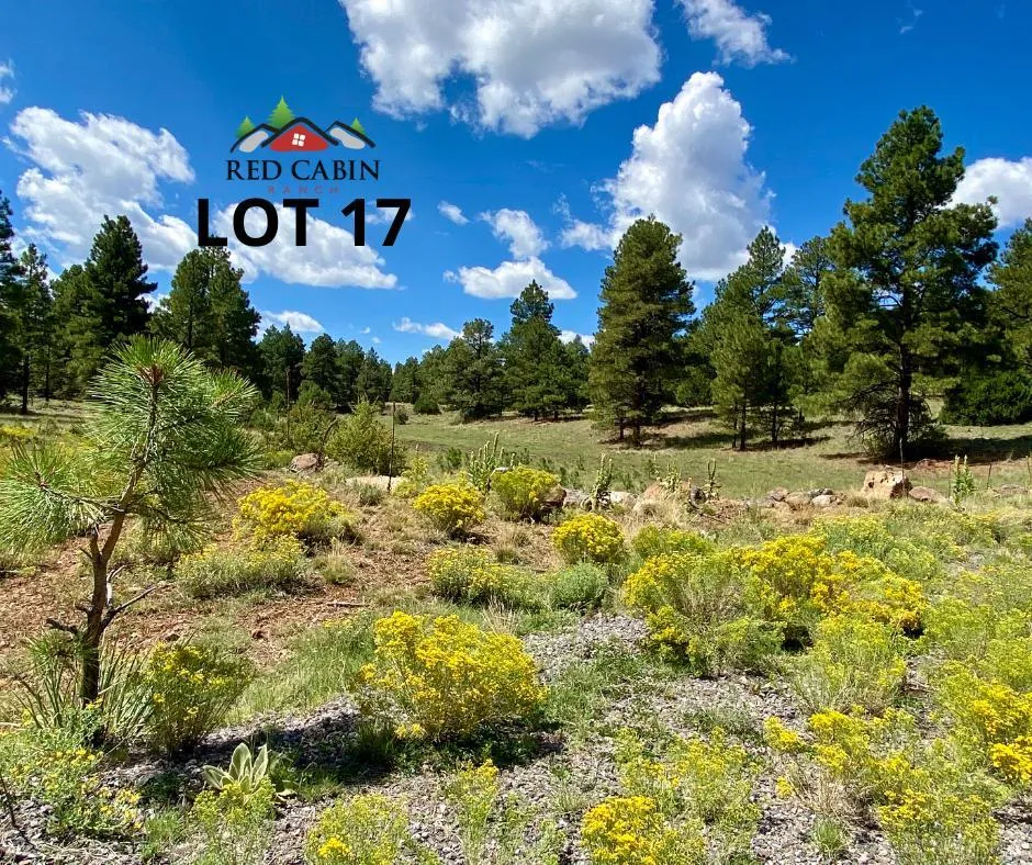 Lot 17 Red Cabin Ranch, Vernon, AZ 85940 — Photo 1 of 18