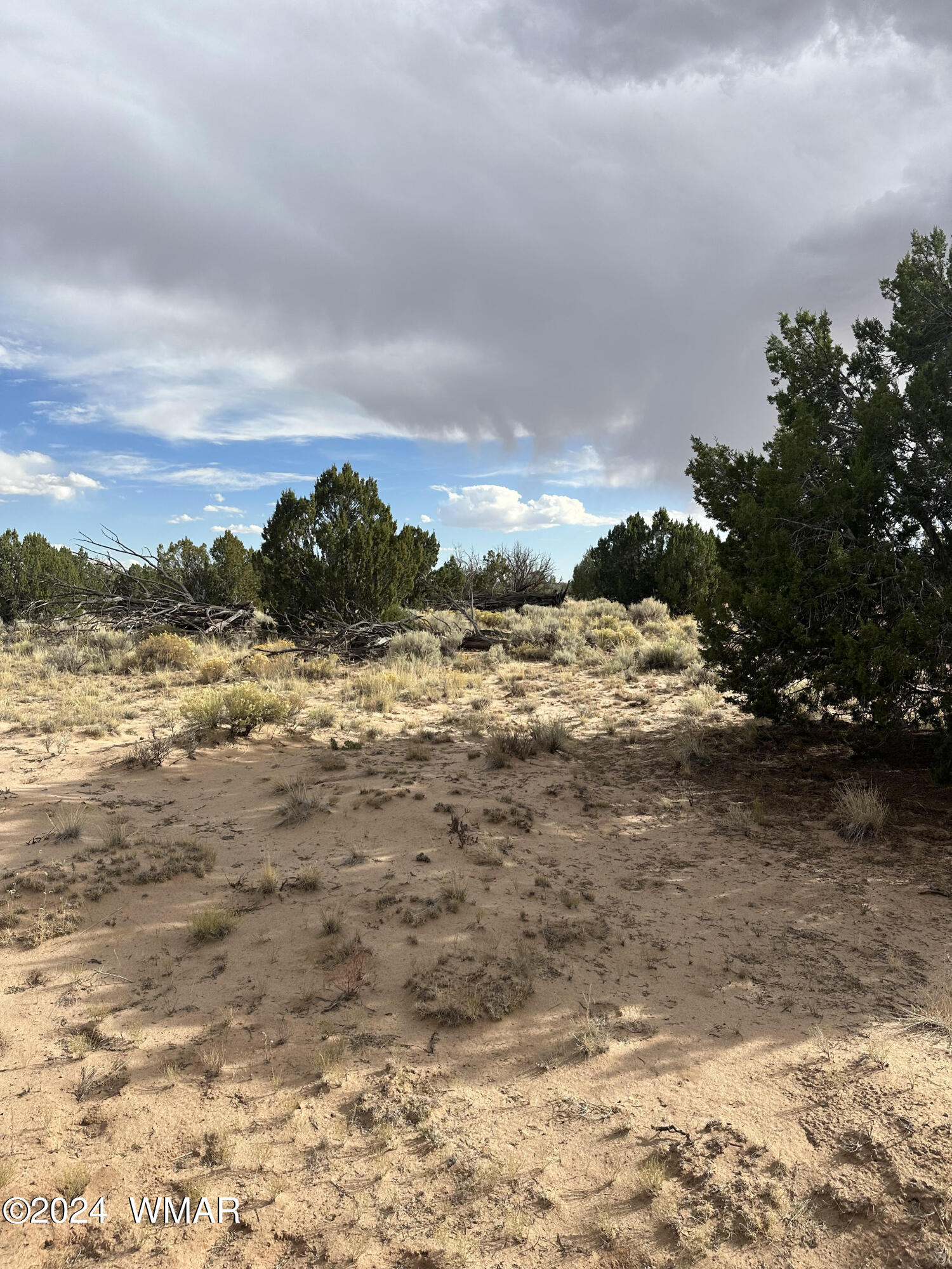 TBD N7273, St. Johns, AZ 85936