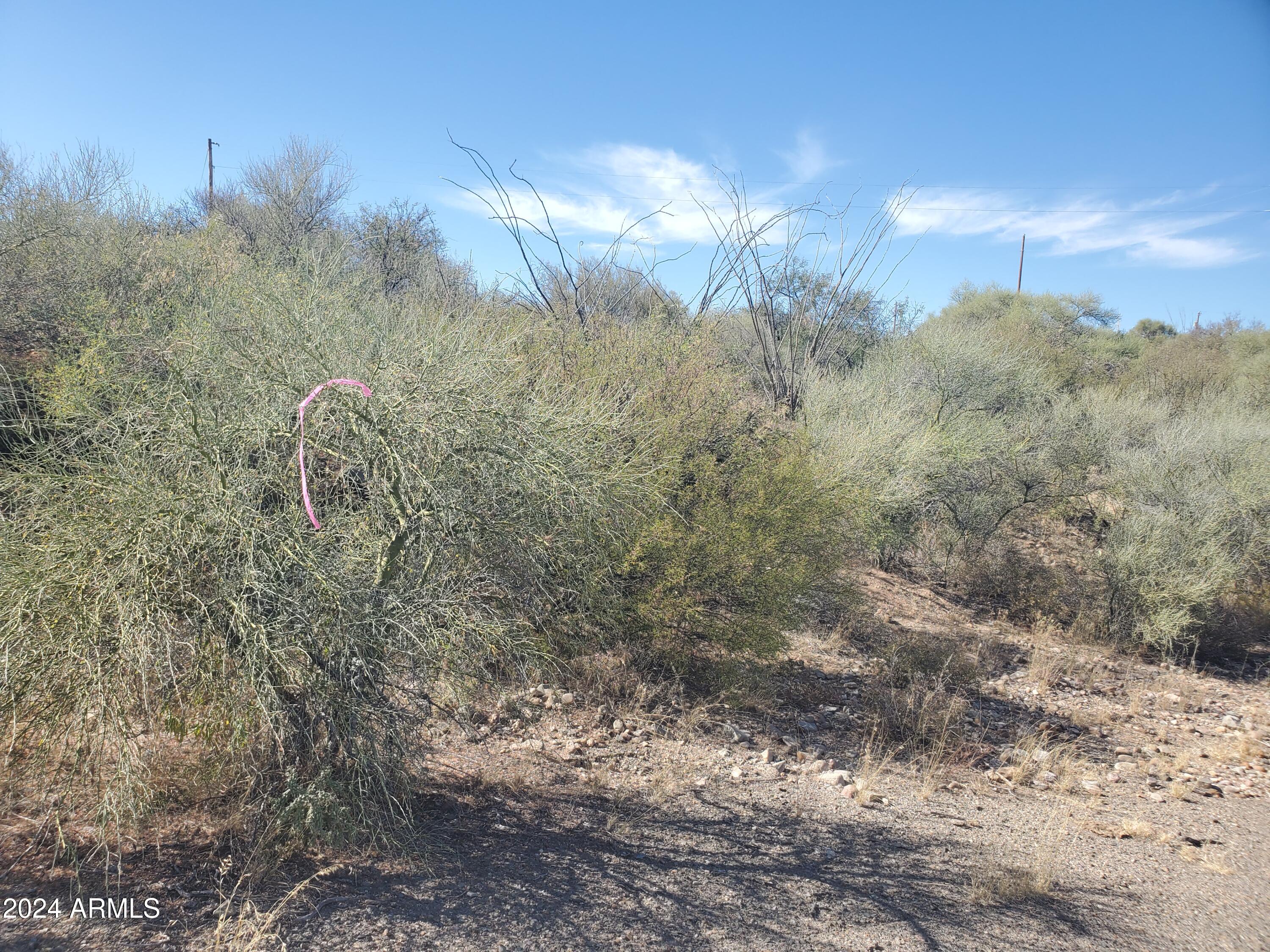 1978 CALLE COMINOS 6, Rio Rico, AZ 85648 — Photo 1 of 12