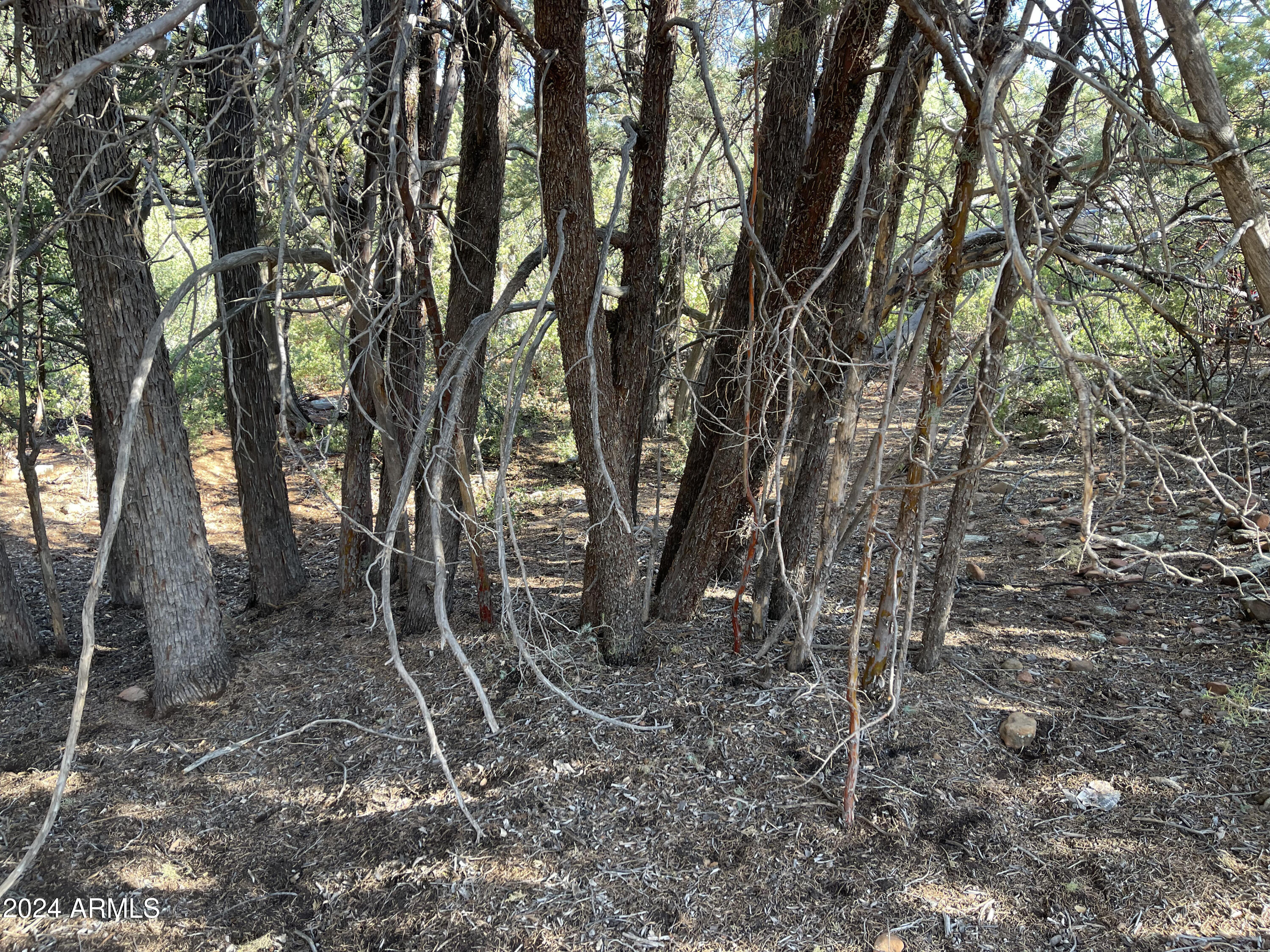 9 LODGEPOLE Circle 9, Pine, AZ 85544 — Photo 1 of 7