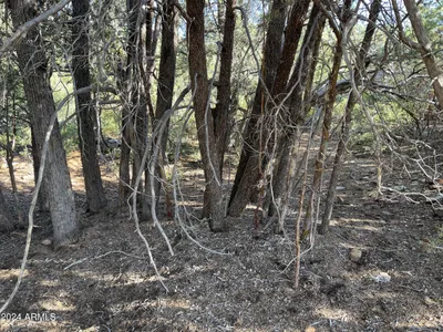 9 LODGEPOLE Circle 9, Pine, AZ 85544