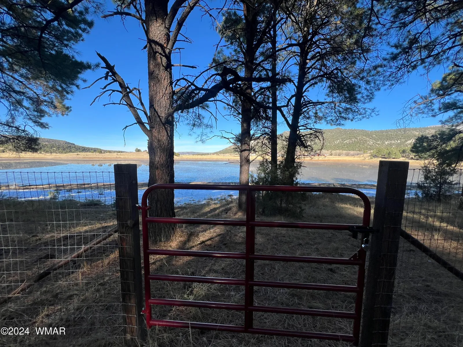 314 County Road 2108, Nutrioso, AZ 85932 — Photo 1 of 3