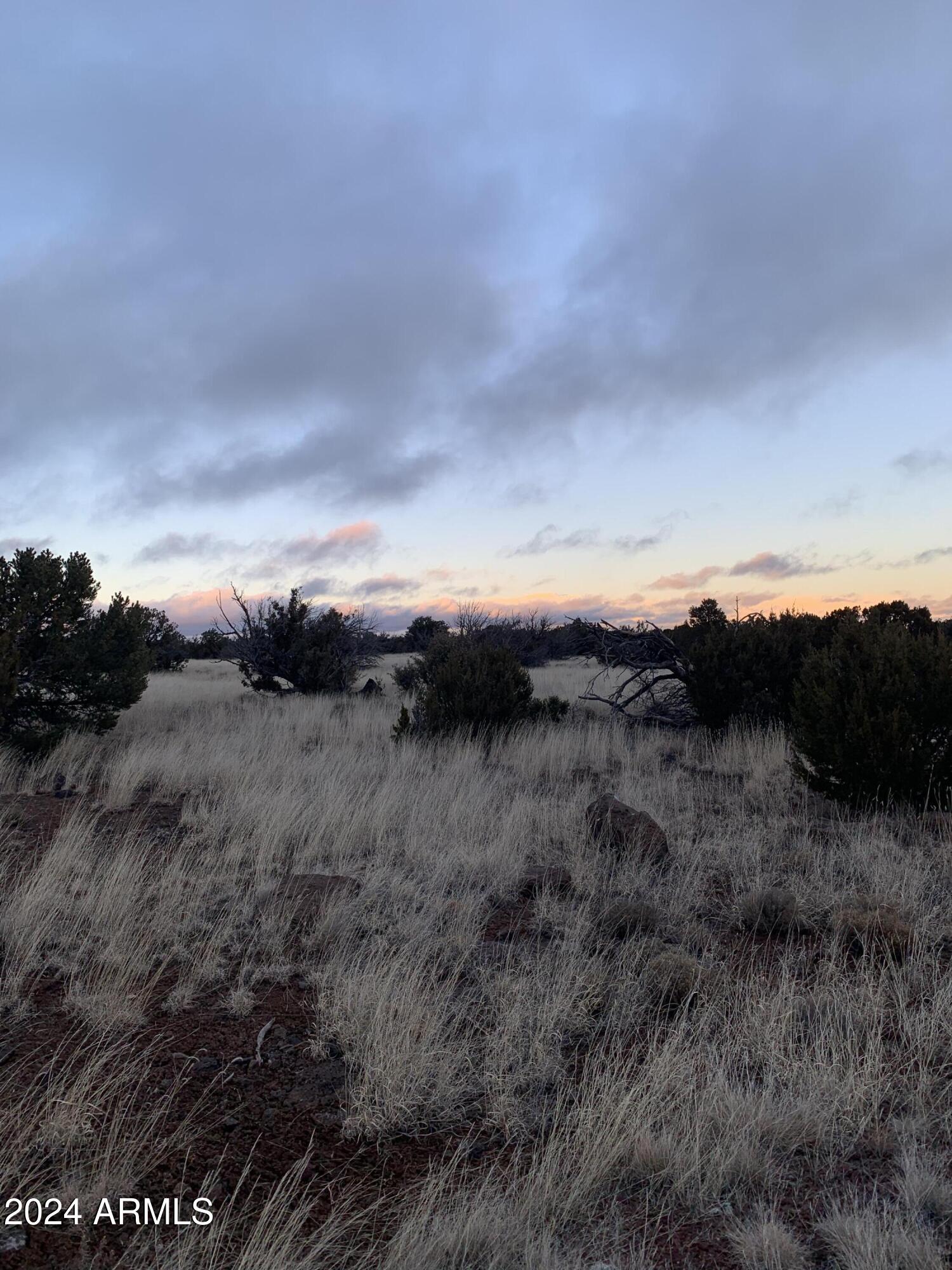 No Address Lot 1916 Mills Lane Road 1916, Concho, AZ 85924 — Photo 1 of 4
