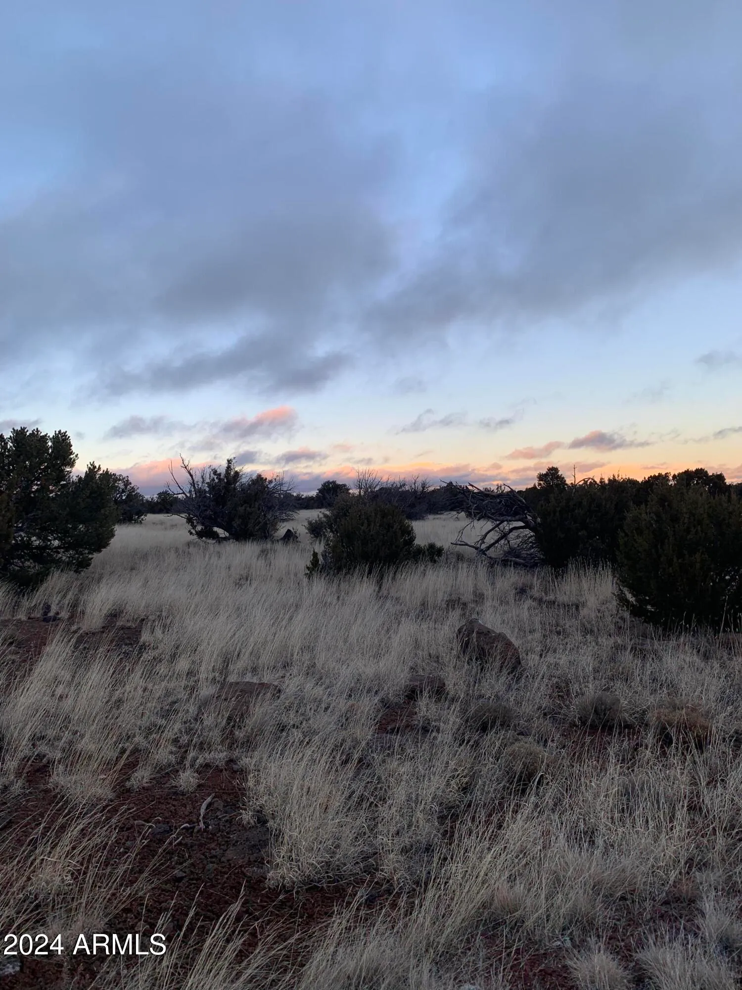 No Address Lot 1916 Mills Lane Road 1916, Concho, AZ 85924 — Photo 1 of 4