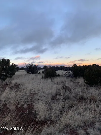 No Address Lot 1916 Mills Lane Road 1916, Concho, AZ 85924
