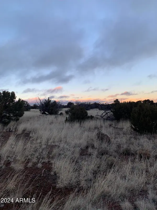 No Address Lot 1916 Mills Lane Road 1916, Concho, AZ 85924