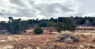 7651 BAR DITCH Road 70, Show Low, AZ 85901