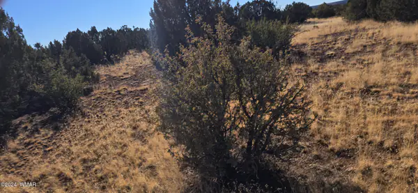 8751 Supancheck Road, Show Low, AZ 85901