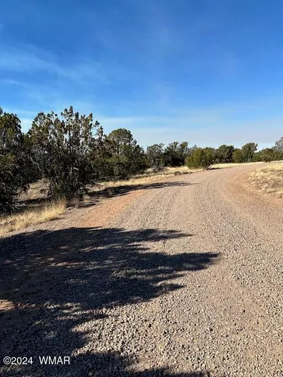 8314 Silver Creek Drive, Show Low, AZ 85901