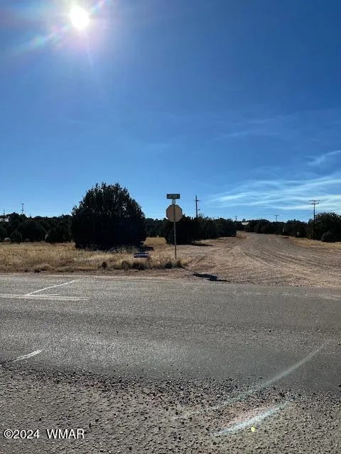 8419 Silver Creek Drive, Show Low, AZ 85901 — Photo 1 of 9
