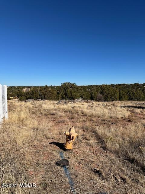 8420 Silver Creek Drive, Show Low, AZ 85901