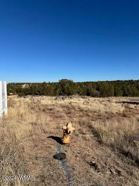 8420 Silver Creek Drive, Show Low, AZ 85901
