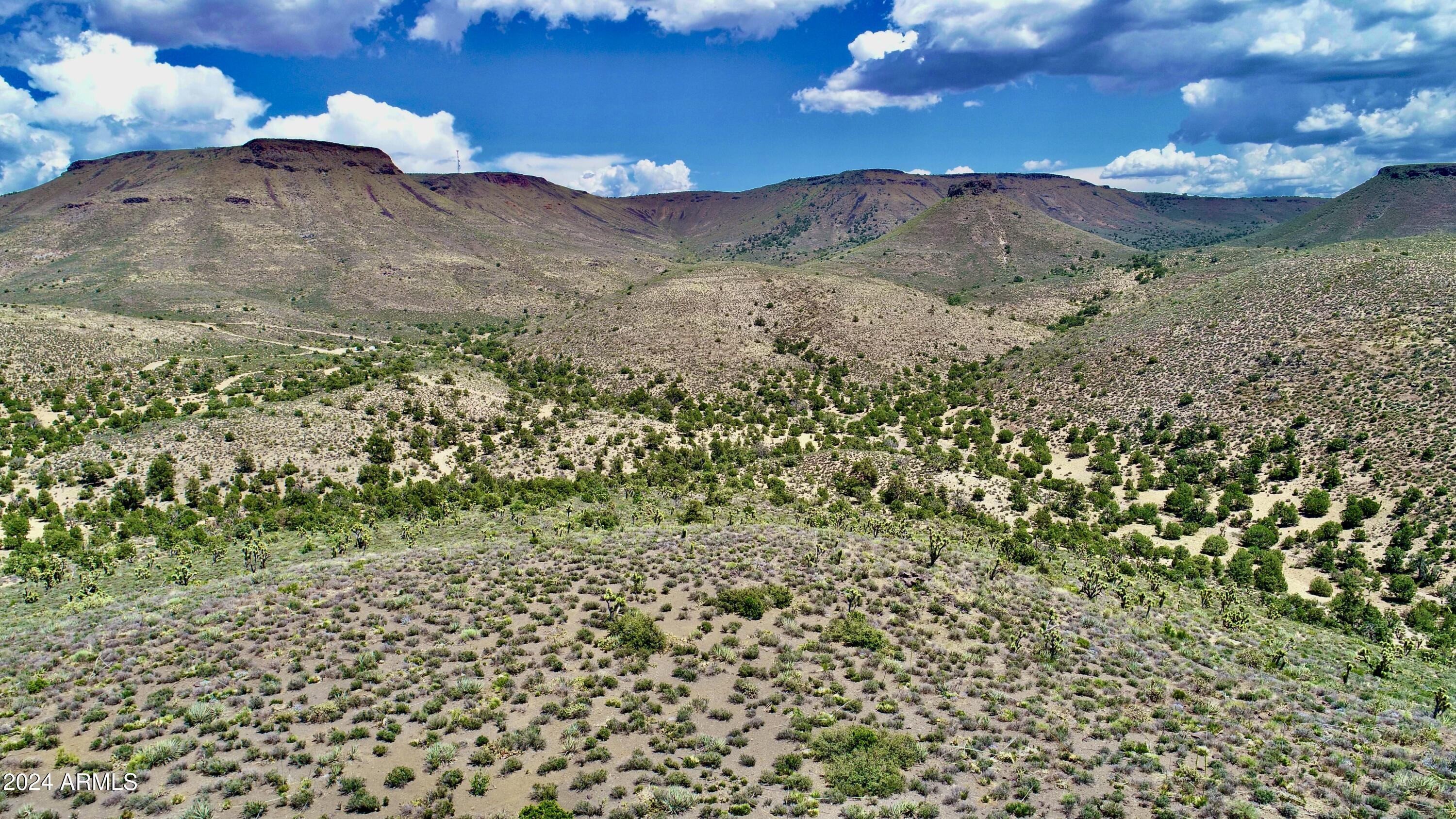 XXXXX E Diamond Bar Road E -, Meadview, AZ 86444 — Photo 1 of 4