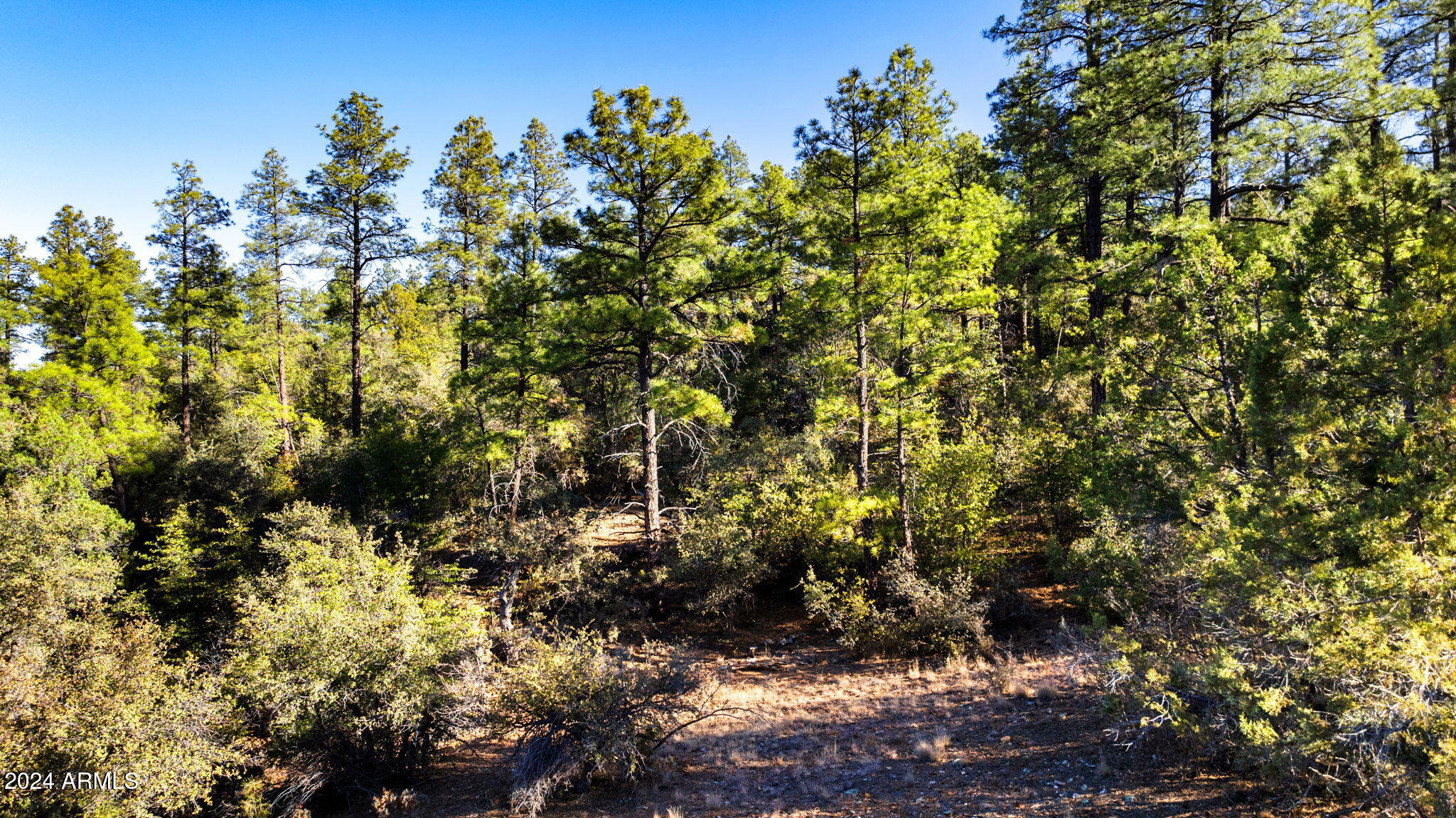 1101 WHITE SPAR Road '-', Prescott, AZ 86303 — Photo 1 of 22