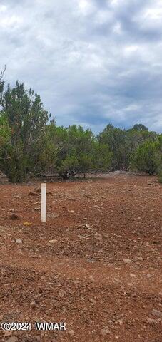 6 County Road, 8406, Vernon, AZ 85940