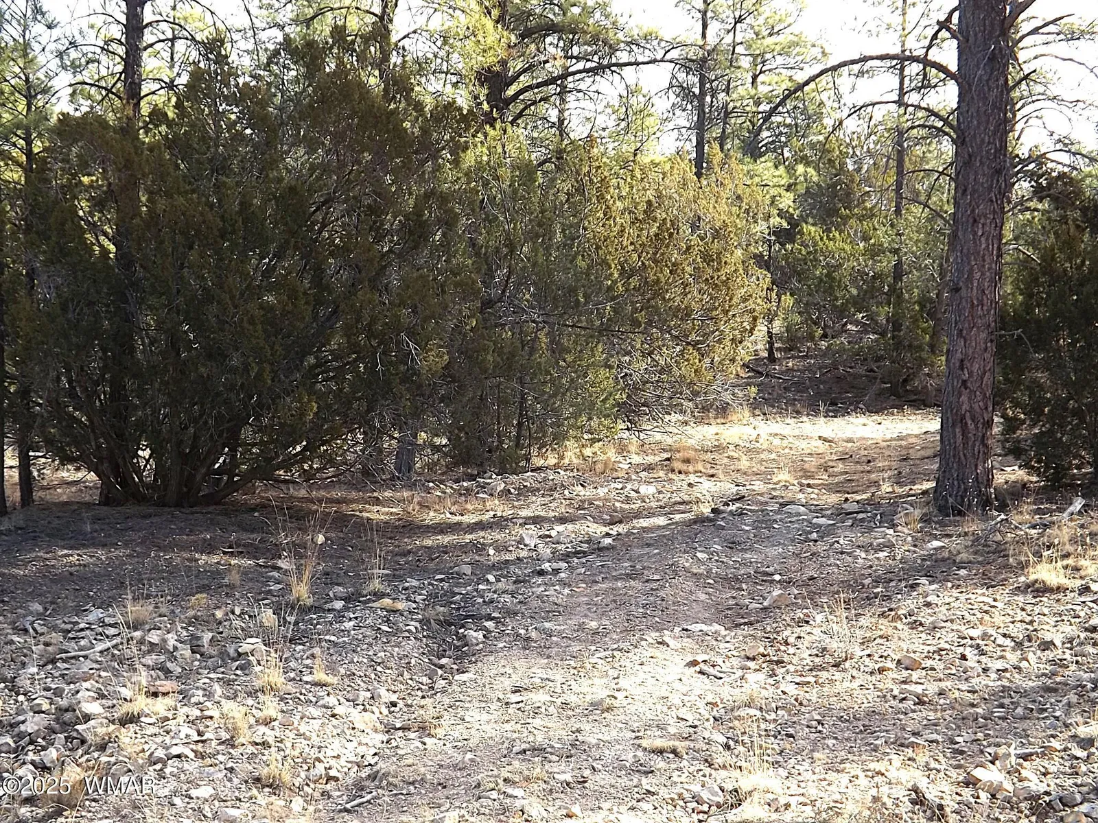 3341 Sawmill Ridge Loop, Heber, AZ 85928 — Photo 1 of 8