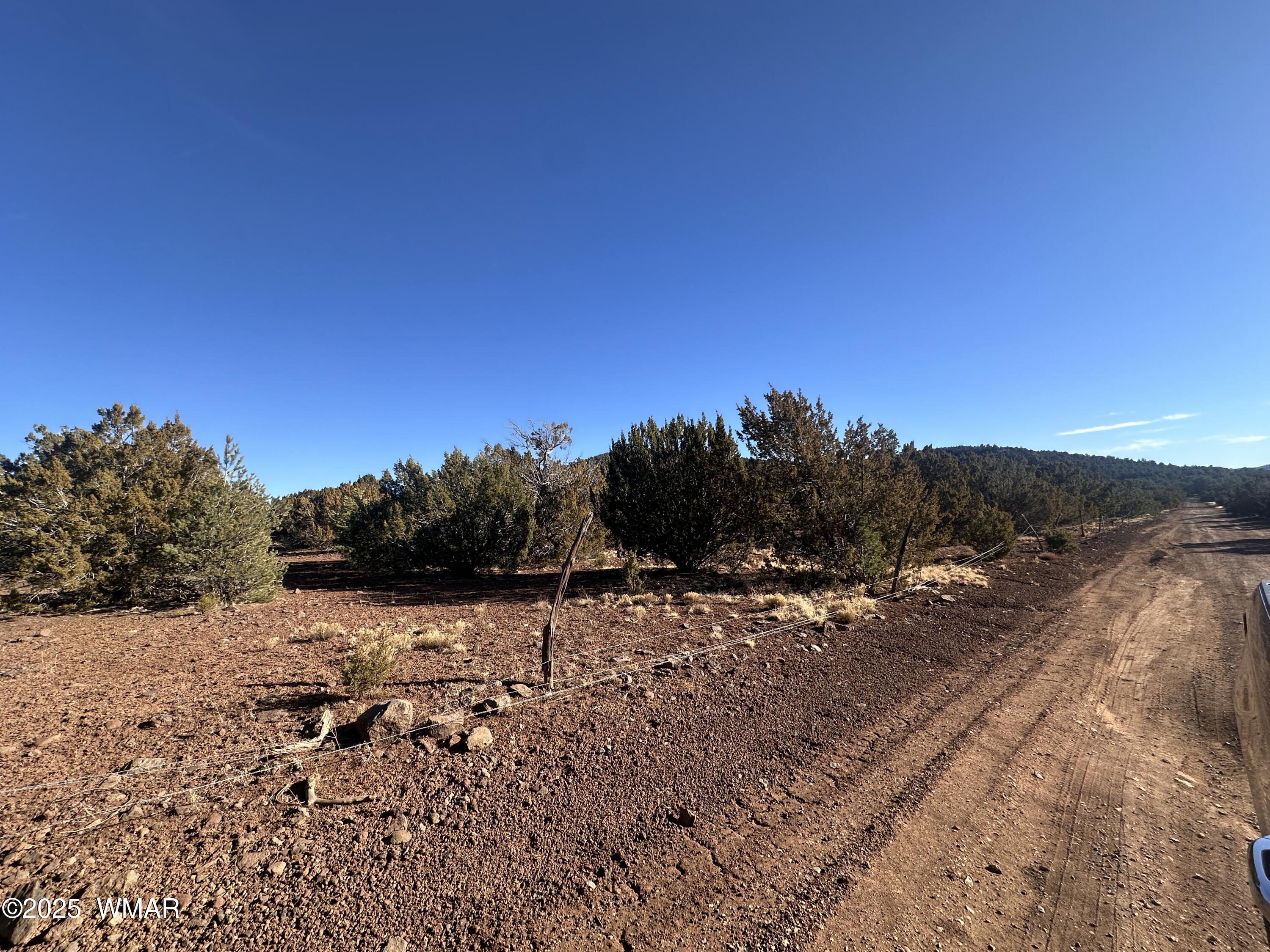 TBD County Rd N 3314, Vernon, AZ 85940 — Photo 1 of 5