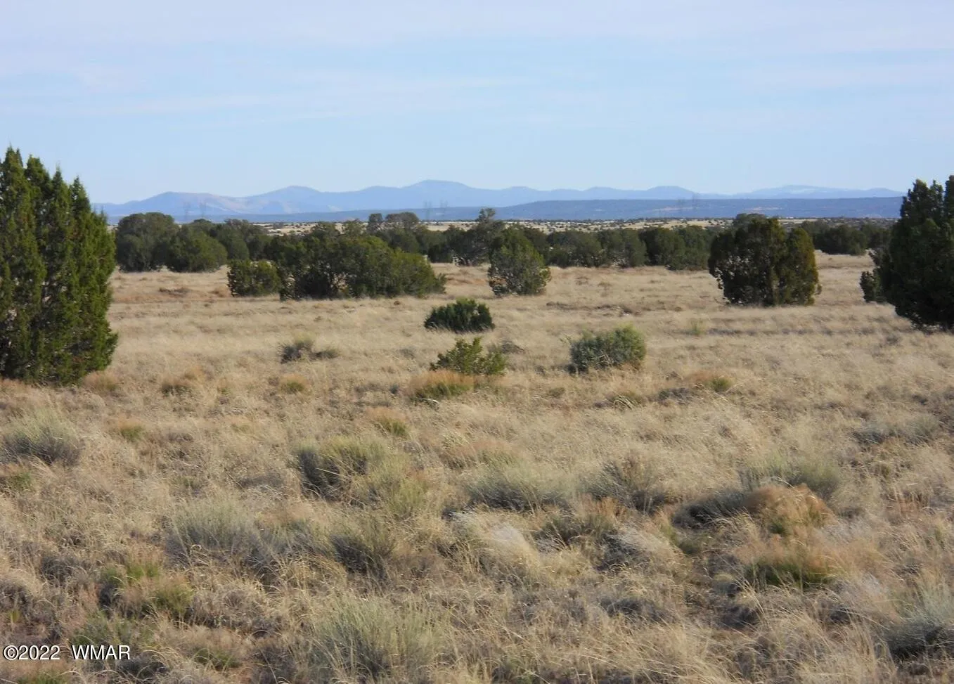 19 County Road, Concho, AZ 85924 — Photo 1 of 7