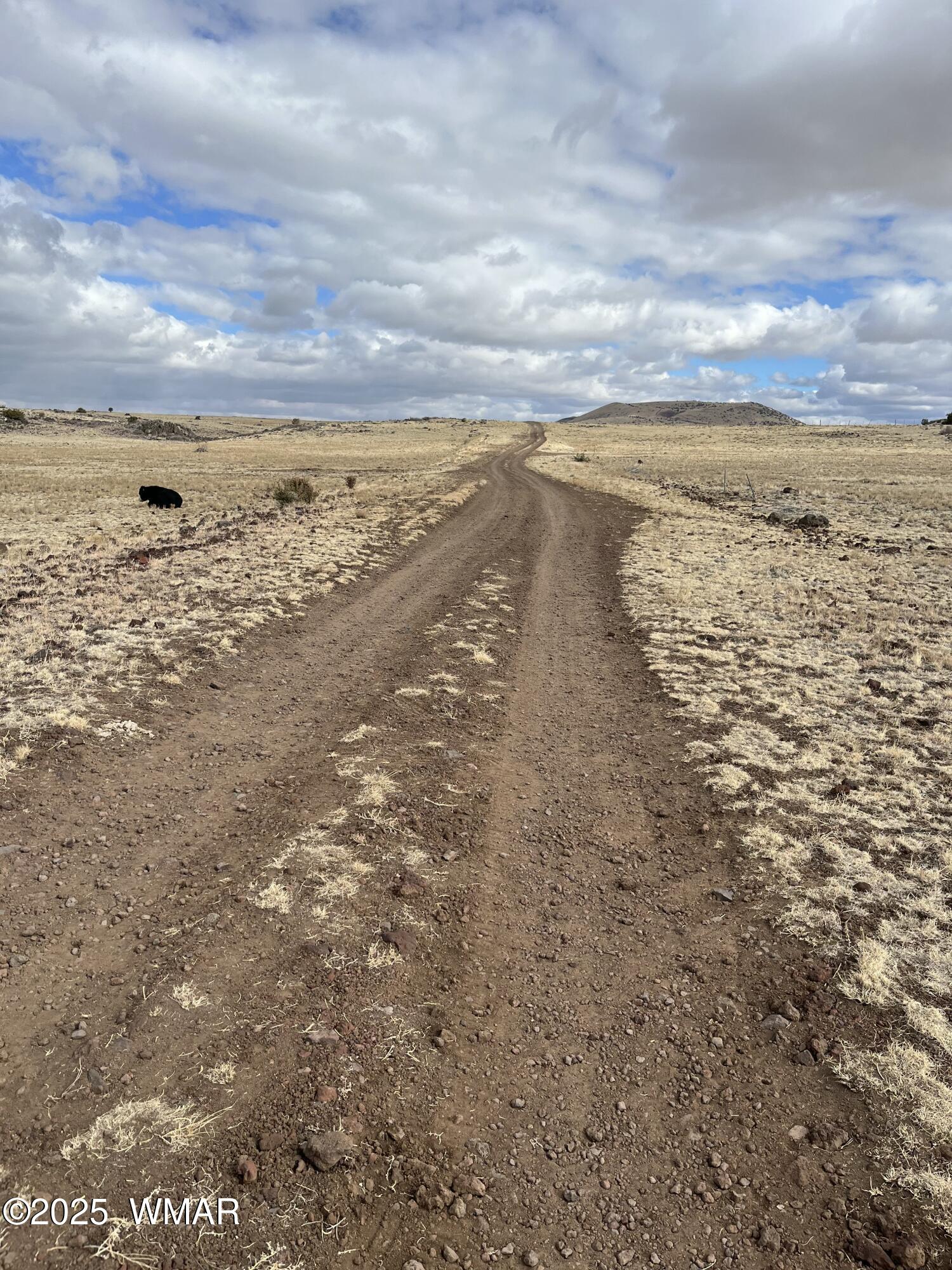 TBD N3540 Lot 500, Concho, AZ 85924