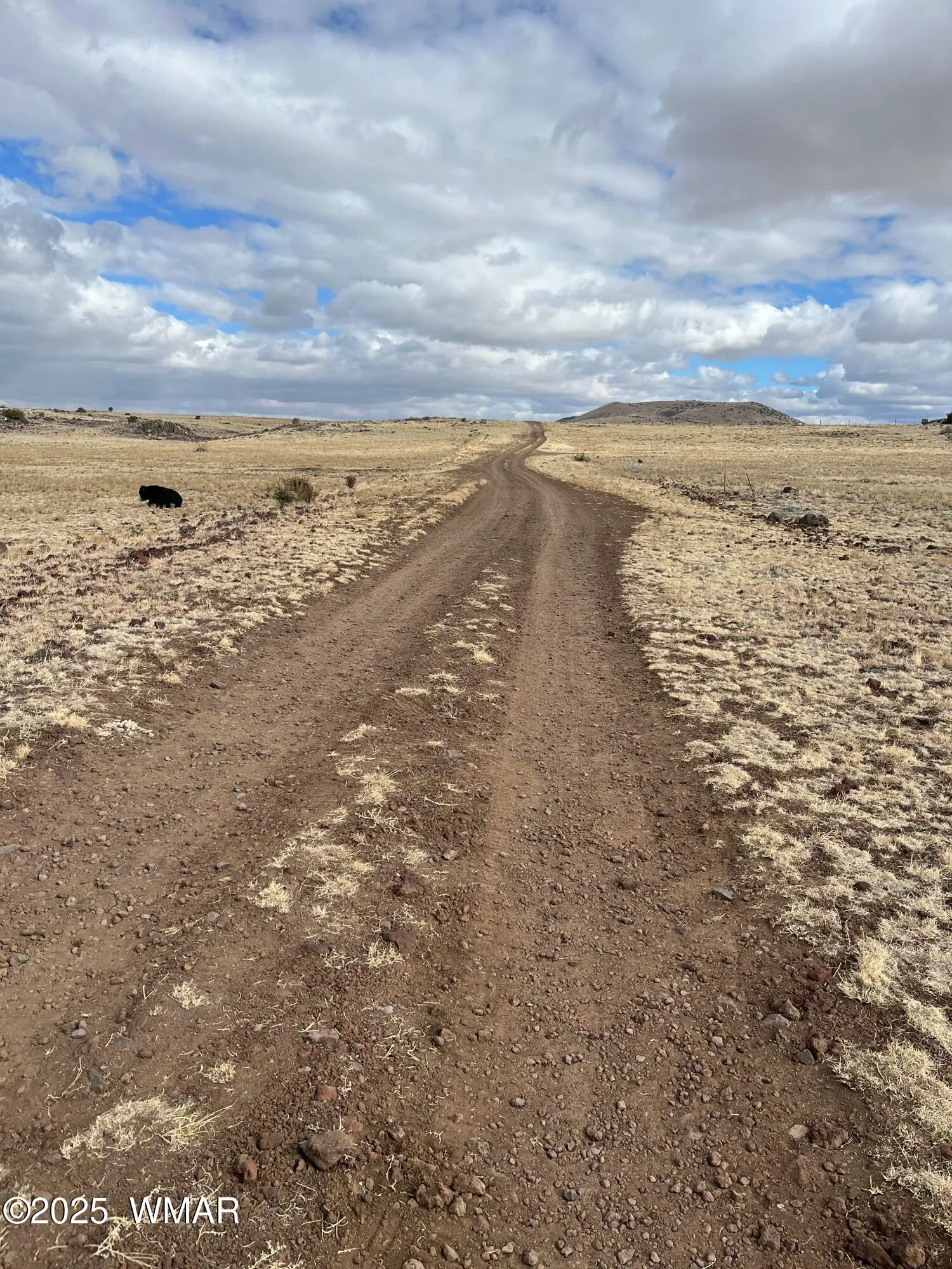 TBD N3540 Lot 500, Concho, AZ 85924 — Photo 1 of 5