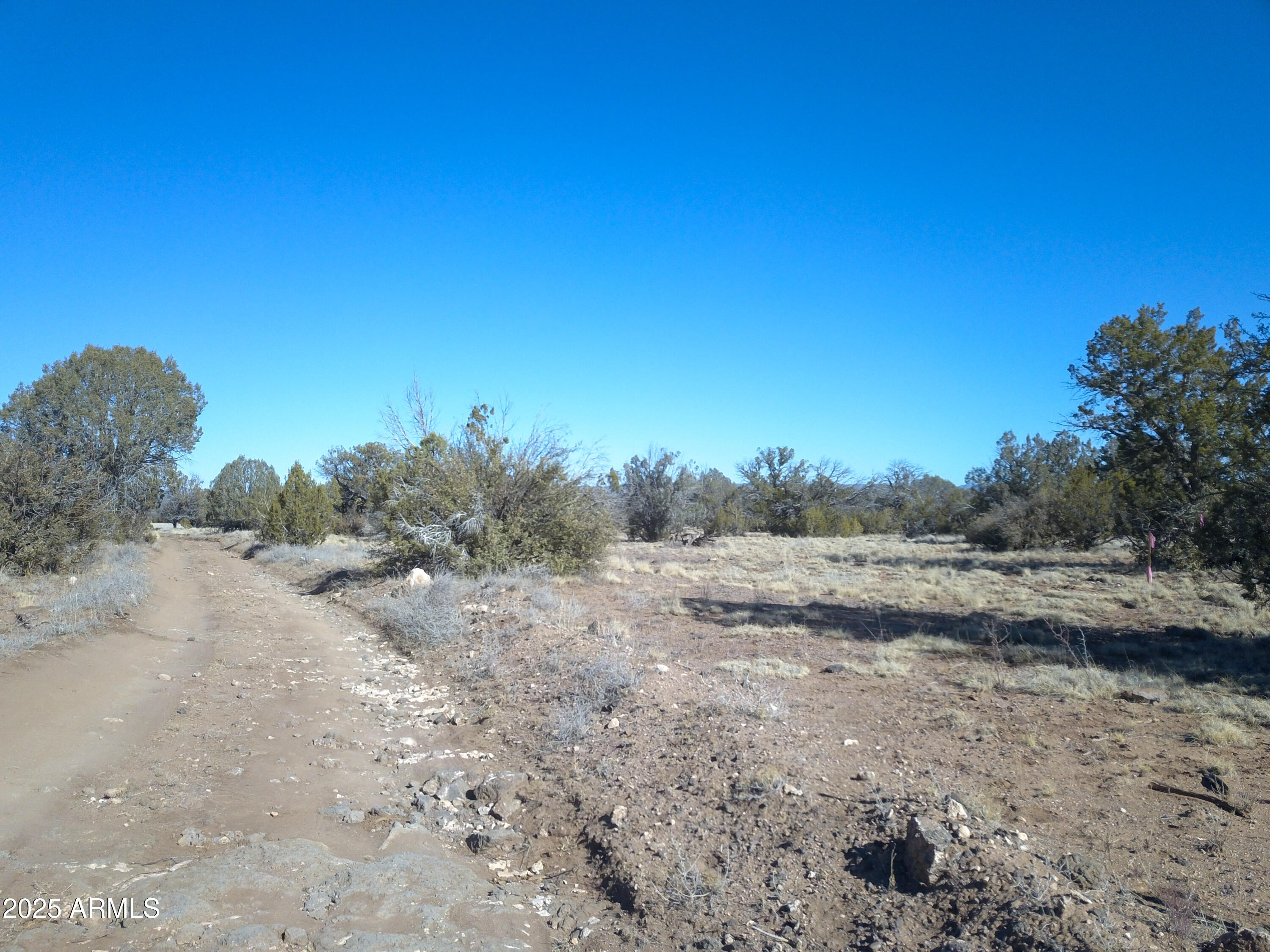 137 Cattle Drive 28, Ash Fork, AZ 86320 — Photo 1 of 30
