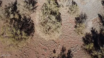Thumbnail 13