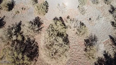 Thumbnail 14