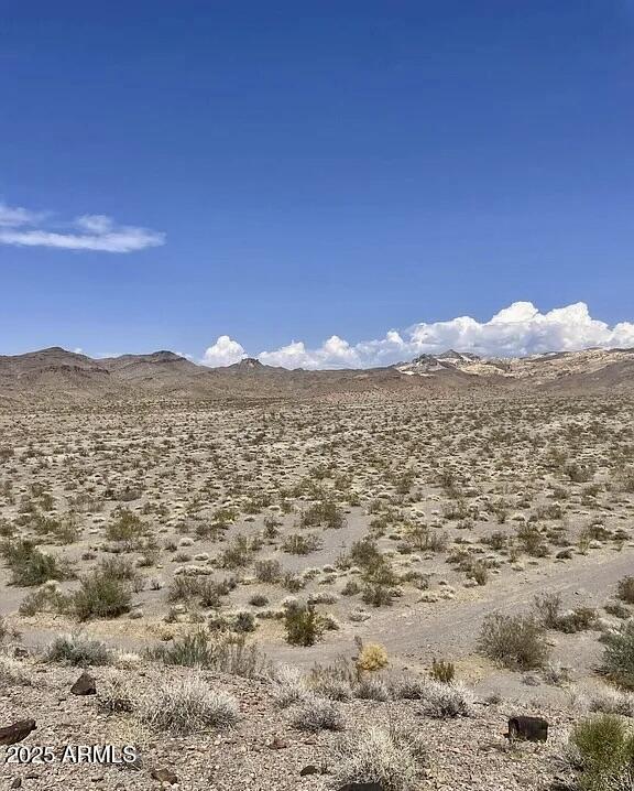 TBD N 40 acres - 1 Road -, Bullhead City, AZ 86429 — Photo 1 of 1