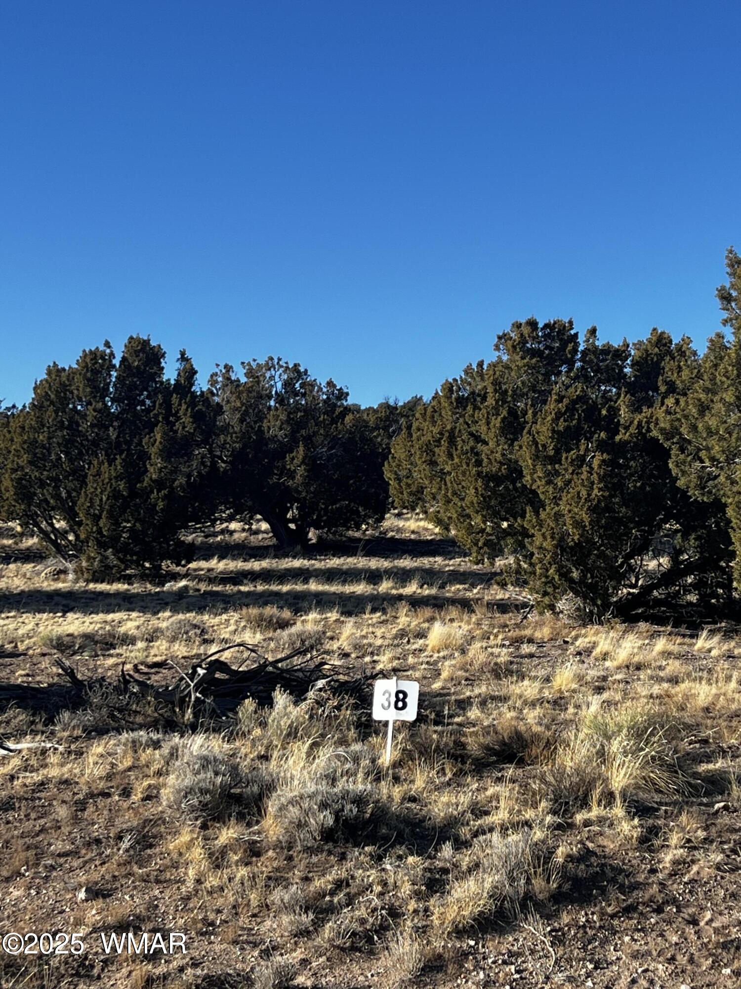 38 8626, Concho, AZ 85924 — Photo 1 of 13