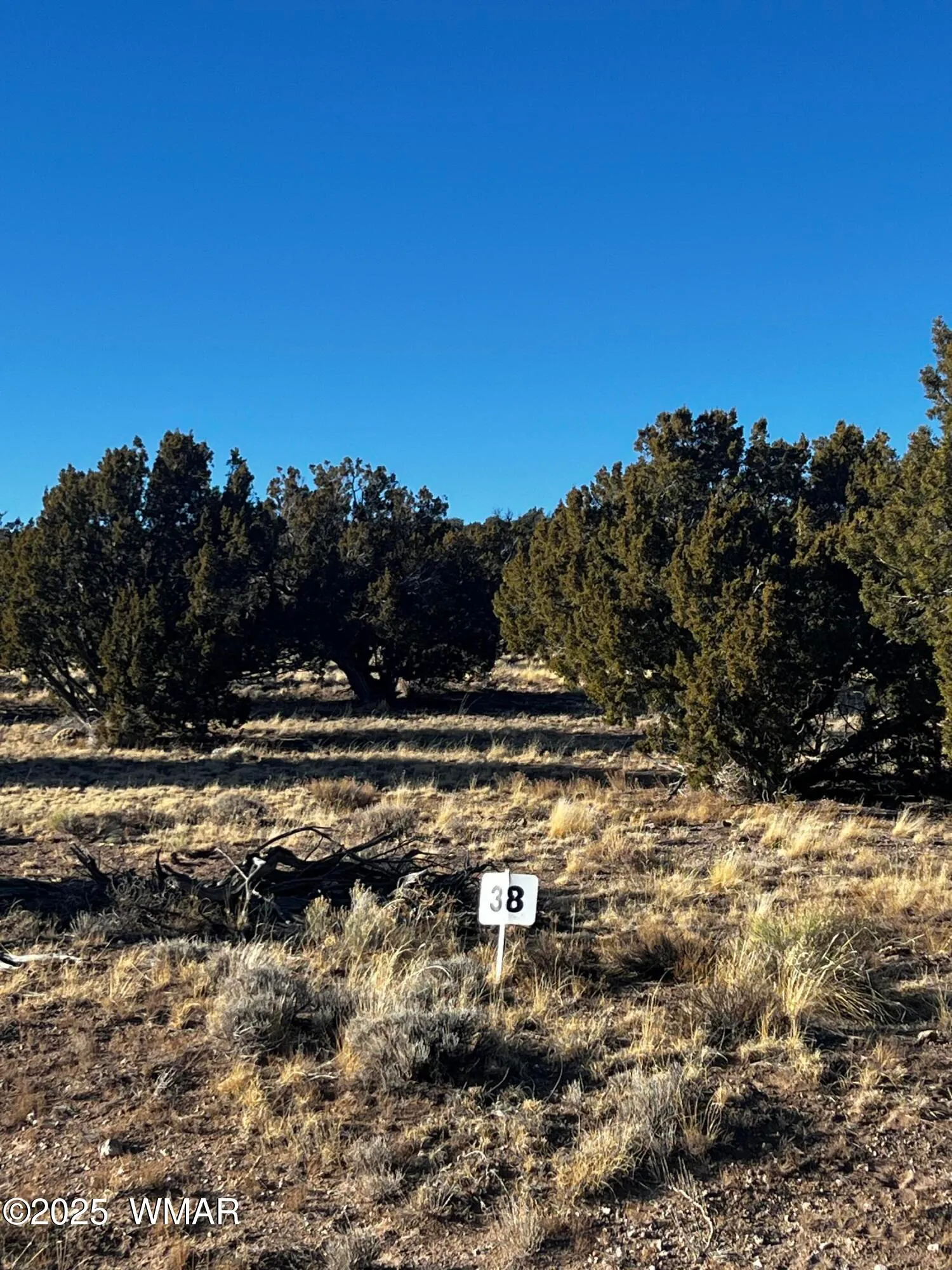 38 8626, Concho, AZ 85924 — Photo 1 of 13
